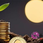 不看征信也能安全借钱？这5个正规app审核快利率低