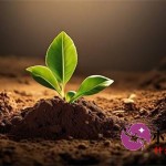 小越花借钱可靠吗？真实测评解析平台靠谱性