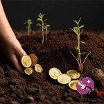 不上征信信用卡借款口子有哪些？这5个方法帮你解决资金难题