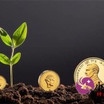 有哪些可以借款的正规平台？盘点靠谱的借款平台及申请技巧