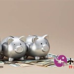 近期可借的网贷口子有哪些？正规平台及借款渠道解析