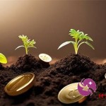 信用卡上门催收流程全解析，遇到该如何应对？