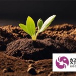 今日借系列口子解析：如何快速找到适合的网贷平台