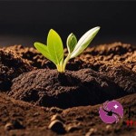 征信不好能用房本抵押银行贷款吗？关键审批要点解析