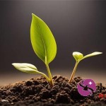 不看征信借款1W全攻略，快速到账+避坑指南一网打尽