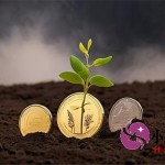 有没有真的不看征信的贷款？这5种方式真实靠谱
