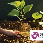 大额网贷口子哪里靠谱？最新申请攻略及平台推荐