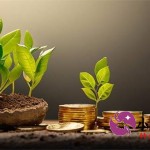 企业征信应用案例解析与实战经验分享