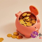 类似大米贷款的口子有哪些？正规平台申请攻略速看！