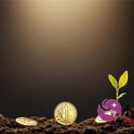 不看征信有公积金秒下款？这些渠道真的靠谱吗