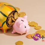 新网银行利率高吗？2025年实测对比+避坑指南