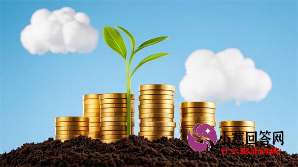 金融创新举措如何助力贷款行业？解析最新政策与市场趋势