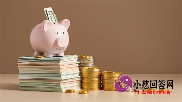 会员购买后贷款服务全攻略：权益解析、避坑技巧与使用指南