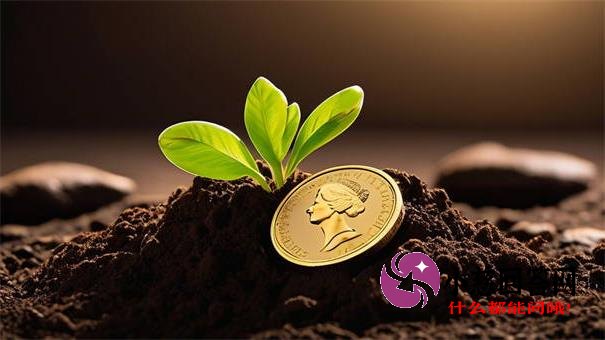 无视查询次数的网贷是真的吗？老哥实测征信花也能下款