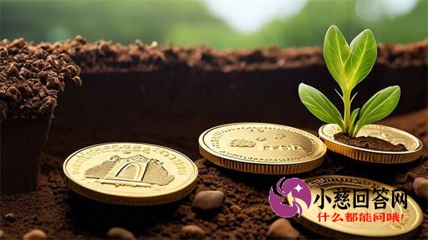 2025年信用卡逾期新规最新解读：逾期处理、协商技巧一文说清！