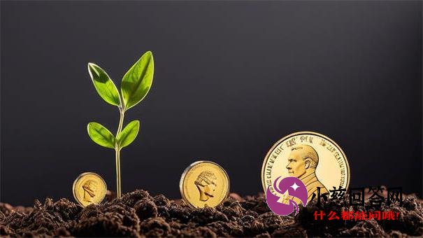 手机小额贷款必下口子推荐！快速到账的5个实用技巧分享