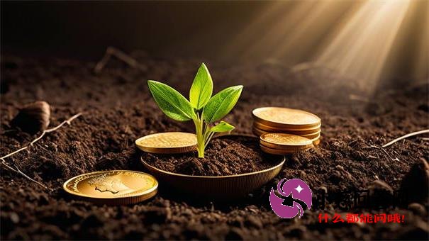 欢太金融借款会上征信吗？贷款记录真相必看