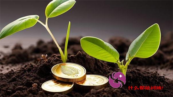 急用钱别慌！小额贷款申请攻略+5大靠谱渠道速看