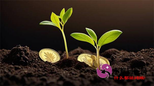 征信不良贷款必看口子：最新申请攻略与避坑指南