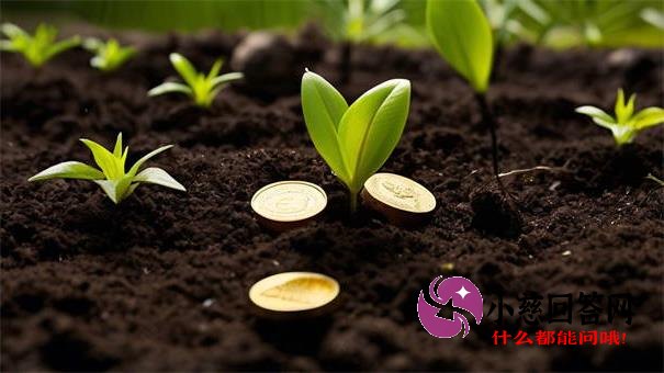 微信上哪些贷款口子靠谱？这5个正规平台推荐给你